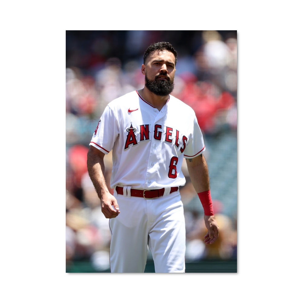 Poster Anthony rendon